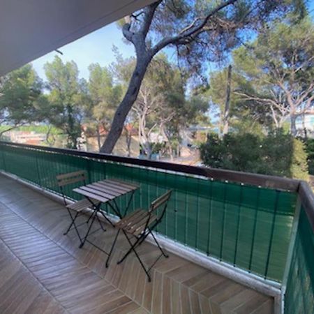 T2 Avec Clim Et Terrasse Vue Mer, Les Sablettes Ла-Сейн-сюр-Мер Екстер'єр фото