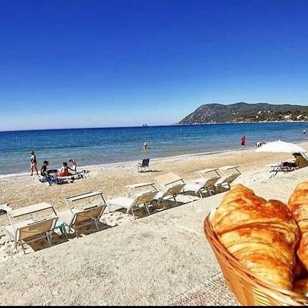 T2 Avec Clim Et Terrasse Vue Mer, Les Sablettes Ла-Сейн-сюр-Мер Екстер'єр фото